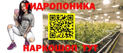a pvp Пенза