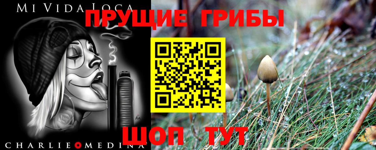 Галлюциногенные грибы ЛСД Таганрог